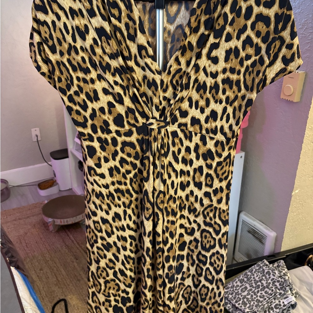 Leopard Print Dress
